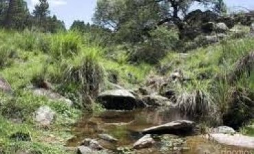Calamuchita. Encontraron sano y salvo al niño de 4 años extraviado durante 28hs