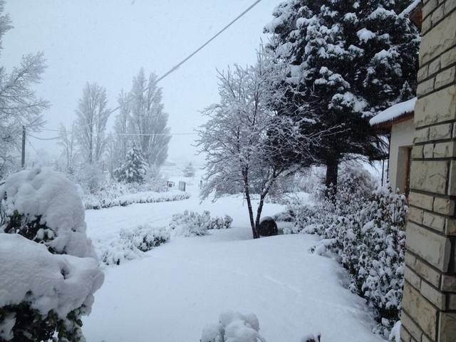 Neuquén en emergencia por temporal de nieve