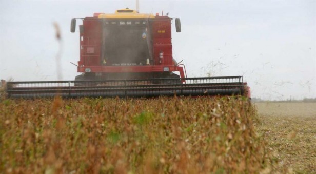 Córdoba, una de las líderes en el repunte económico