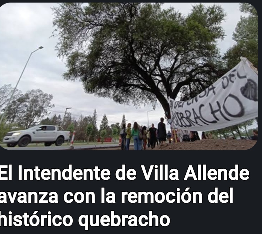 Preparan una mudanza del Quebracho blanco