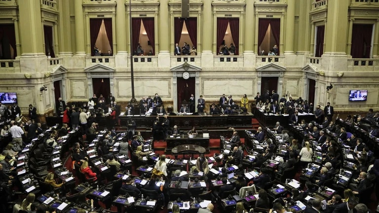 La oposición logró la media sanción de la Boleta Única en Diputados y se abre un incógnita sobre lo que pasará en el Senado