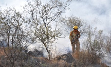 Combaten incendio en la Quebrada del Condorito