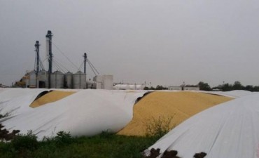Vuelven los ataKes contra silos bolsa en la provincia