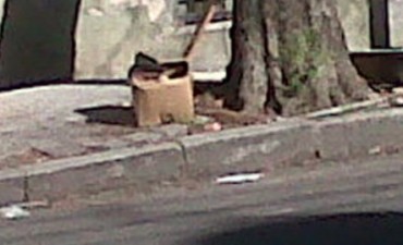 A quien estaba destinado el explosivo encontrado?